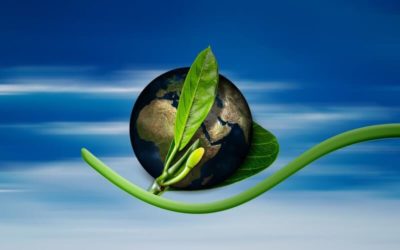 Environmentally Friendly Range of Portable Display Equipment